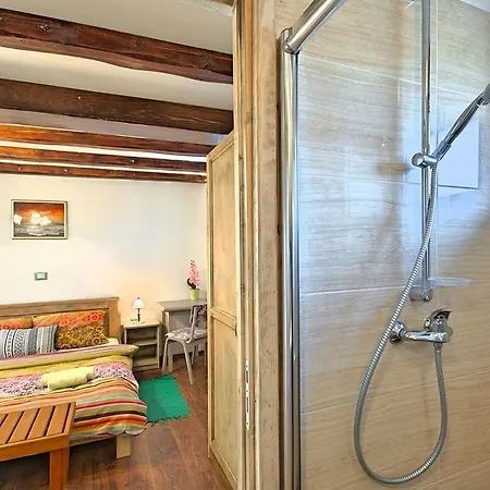 Hébergement de vacances Handsome Stone Holiday Home With Swimming Pool In Tinjan Tinjan